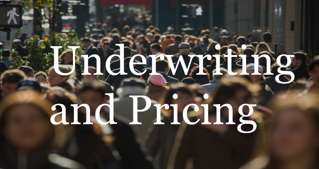Underwriting and Pricing